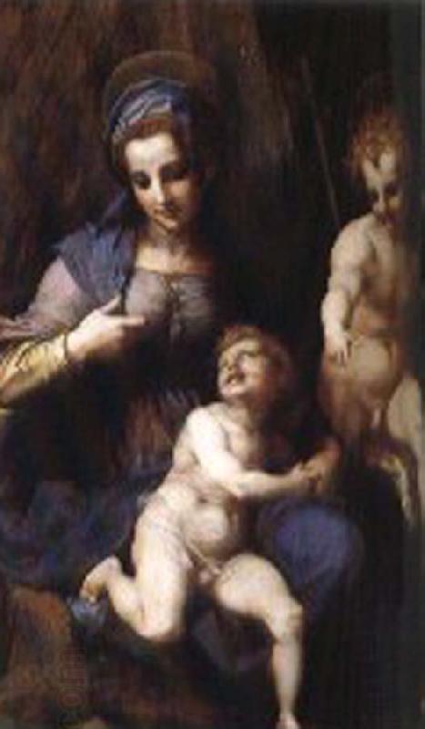 Andrea del Sarto Our Lady of St. John and the small sub oil painting picture